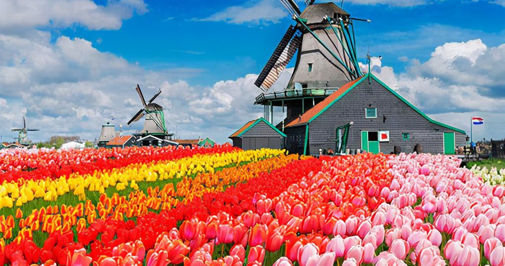 荷兰人均收入大公开（荷兰人的平均收入 ）