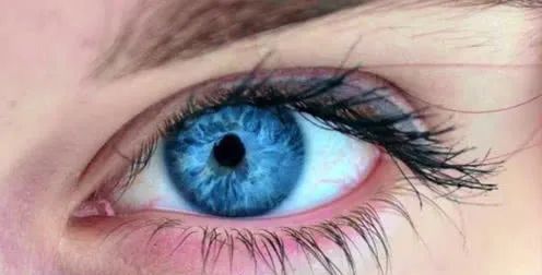 眼睛为什么有不同颜色（为啥眼珠子的颜色不一样）