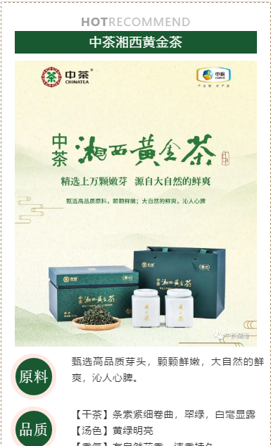 科普黄金茶礼盒价格2021（最新黄金茶价格价值）