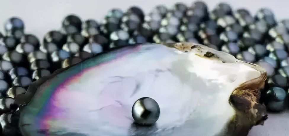 珍珠颜色分为哪几种颜色（珍珠为什么有不同的颜色）