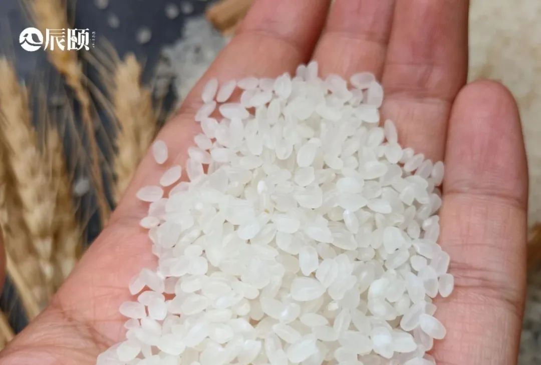 带你了解珍珠米饭的营养价值（必看珍珠米饭的做法）
