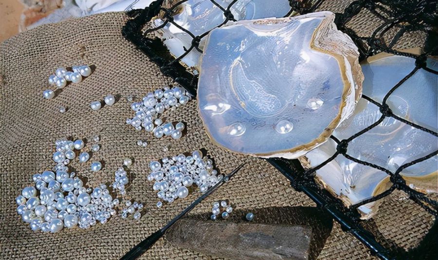 海水珍珠与淡水珍珠的区别有哪些（十大珍珠项链品牌排行）