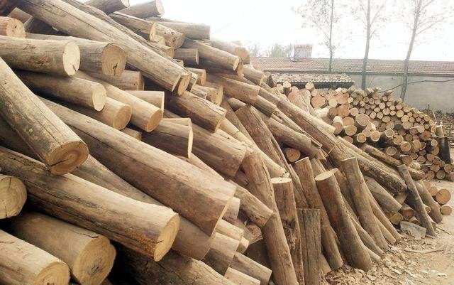 都有什么木材小生意（靠收碎木一年赚十几万）