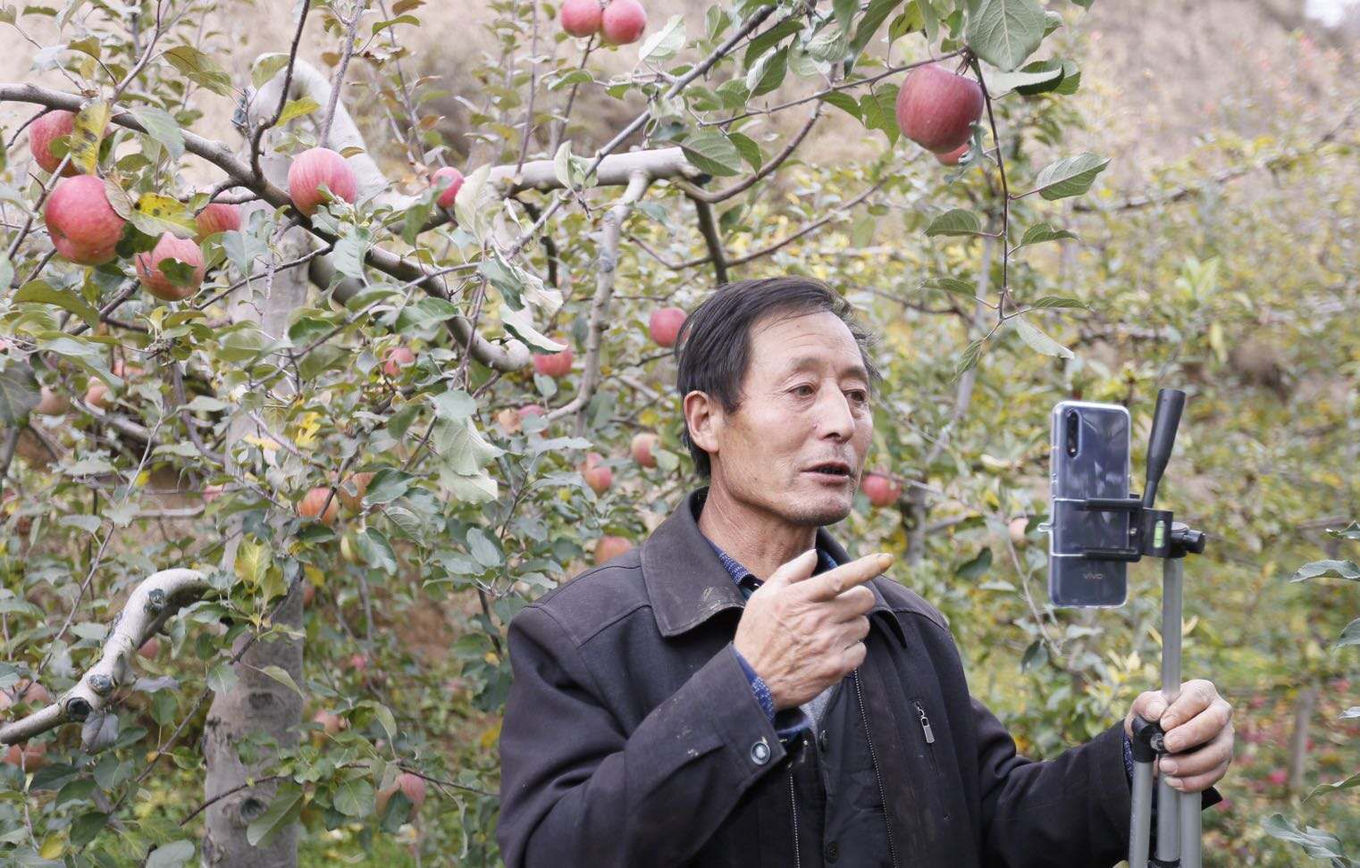 58岁的男人能做什么小生意（农民靠种卖苹果年入20万）